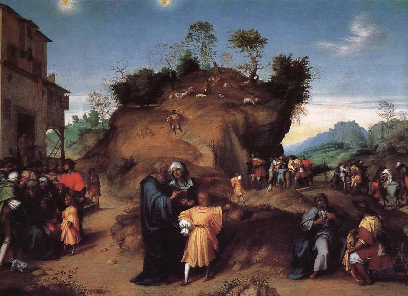 Andrea del Sarto Young Joseph oil painting image